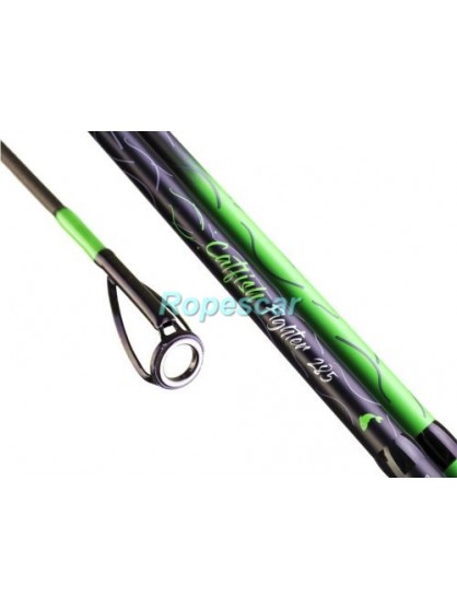 Lanseta somn Catfish Fighter 2,85 M/100-300 gr. - Zfish